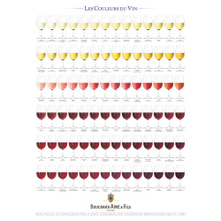 Poster 60x80 cm "The Colours of Wine" | Bouchard Ainé & Fils