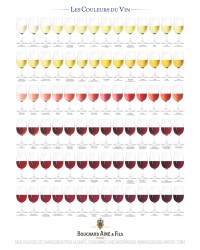 Poster 60x80 cm "The Colours of Wine" | Bouchard Ainé & Fils