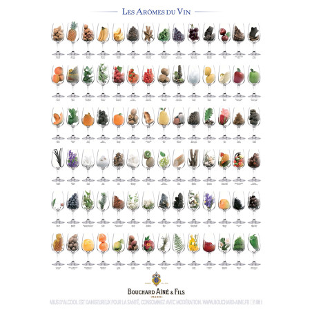 Poster 60x80 cm "The Aromas of Wine" | Bouchard Ainé & Fils