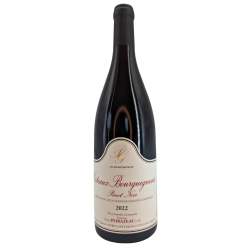 Coteaux Bourguignons Pinot...