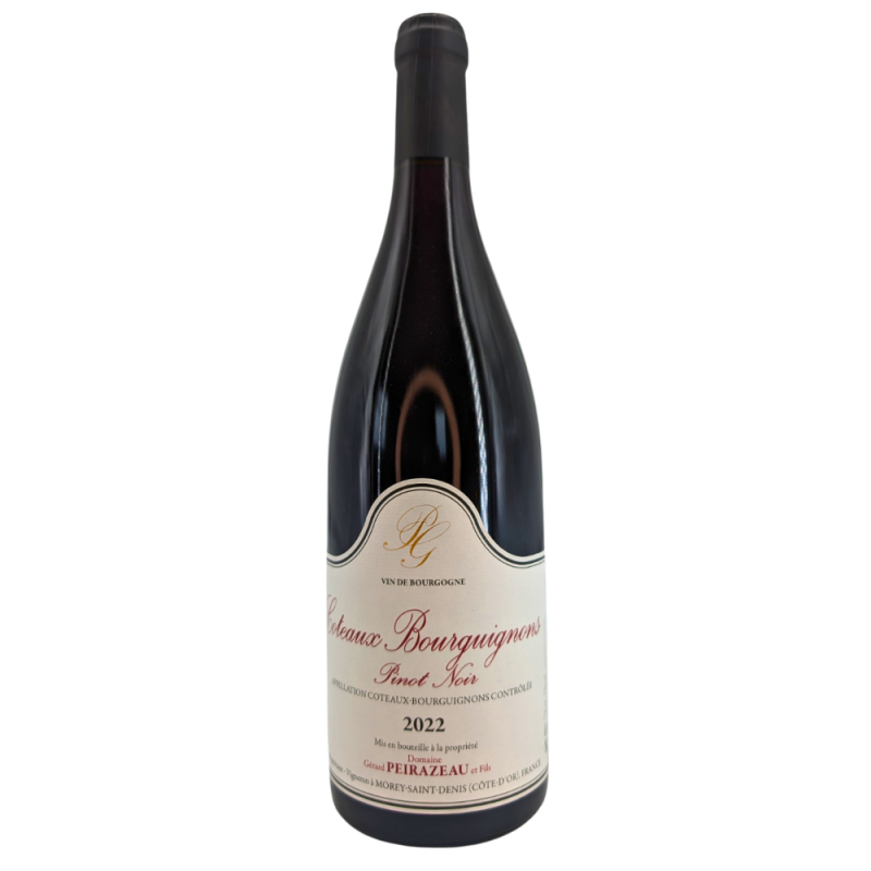 Coteaux Bourguignons Pinot Noir Red 2022 | Wine from Domaine Gérard Peirazeau & Sons