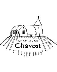 Chavost