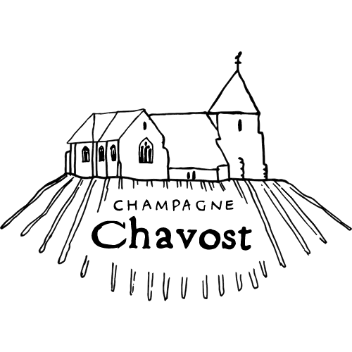 Chavost