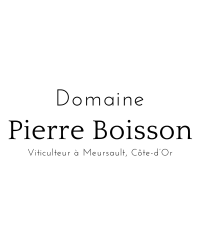 Pierre Boisson (pas sur internet)