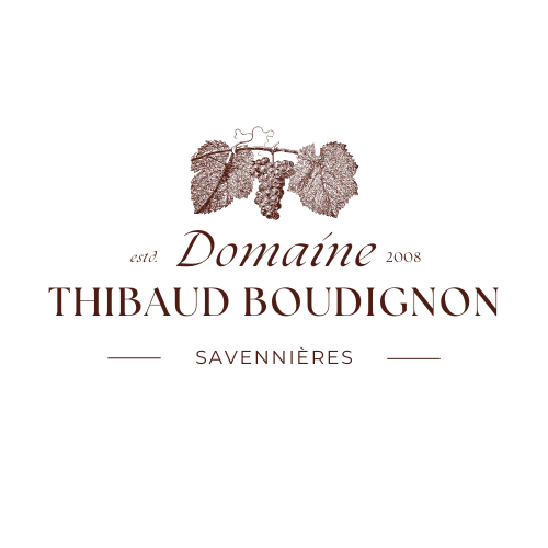 Domaine Thibaud Boudignon