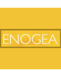 Enogea