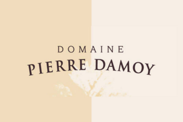 pierre damoy 2