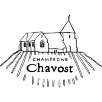 logo_chavost